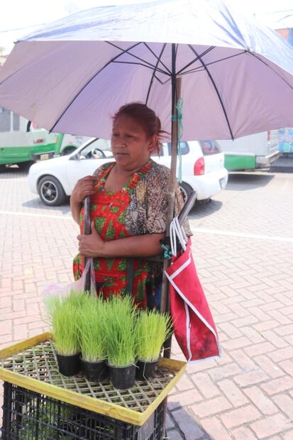 Estas son las rutas turísticas que puedes visitar en Milpa Alta por Semana Santa 
