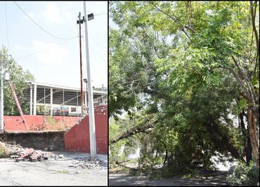 Lluvias y granizo dejan inundaciones, vehículos varados y árboles y postes caídos en municipios de NL