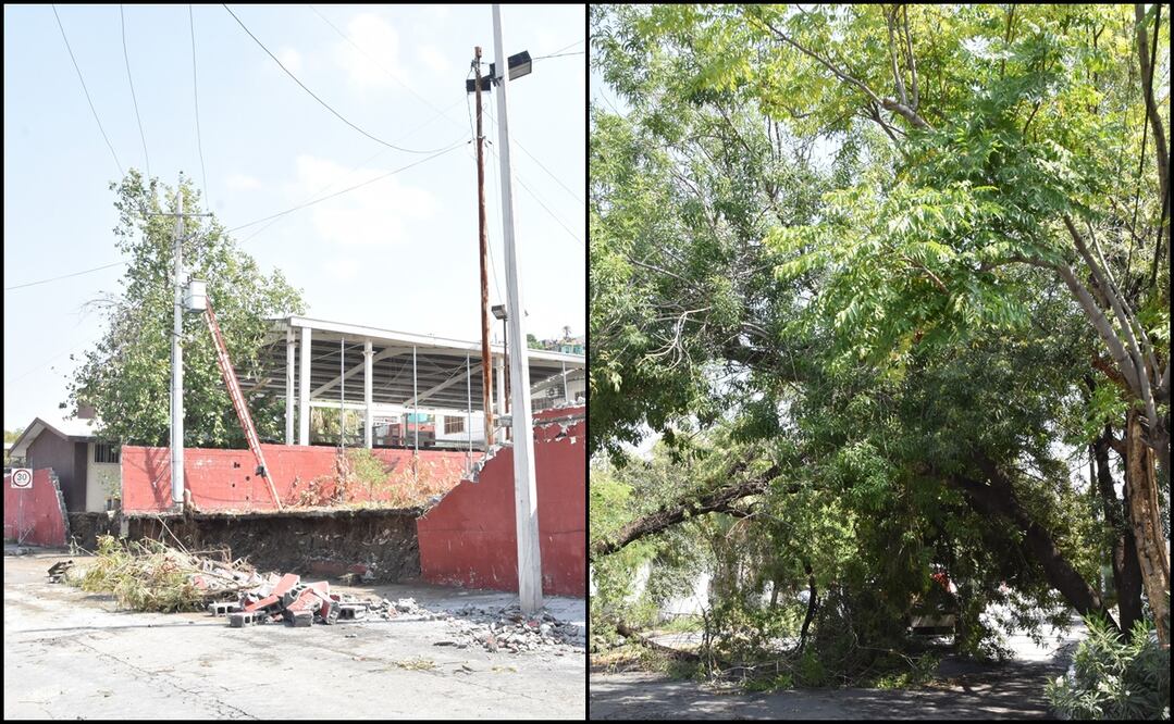 Caída de barda en escuela primaria en la colonia Genaro Vázquez (izq) y caída de árbol en Colonia Morelos. Fotos: Emilio Vázquez / EL UNIVERSAL