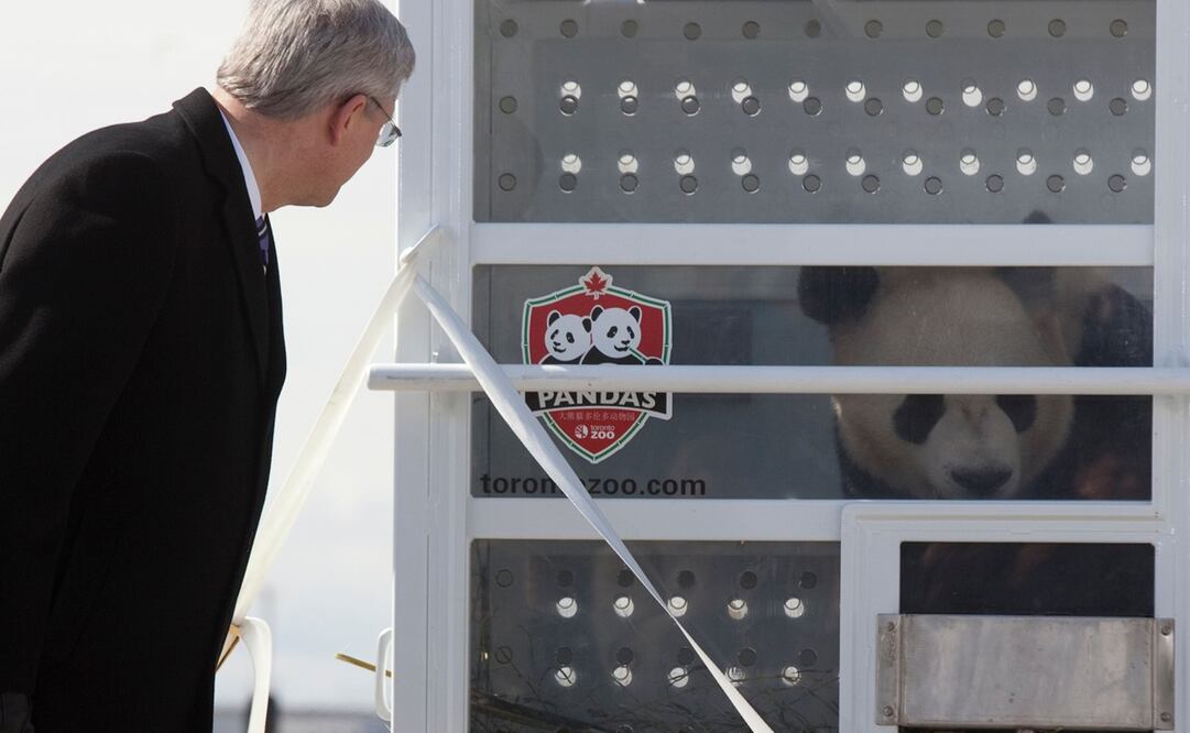 El zoológico está actualmente cerrado debido a la pandemia del Covid-19 (Foto: AFP)