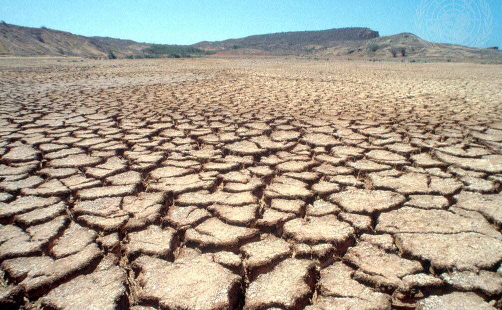 Sequía en África, Foto: Especial