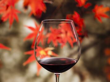 Disfruta los vinos de otoño