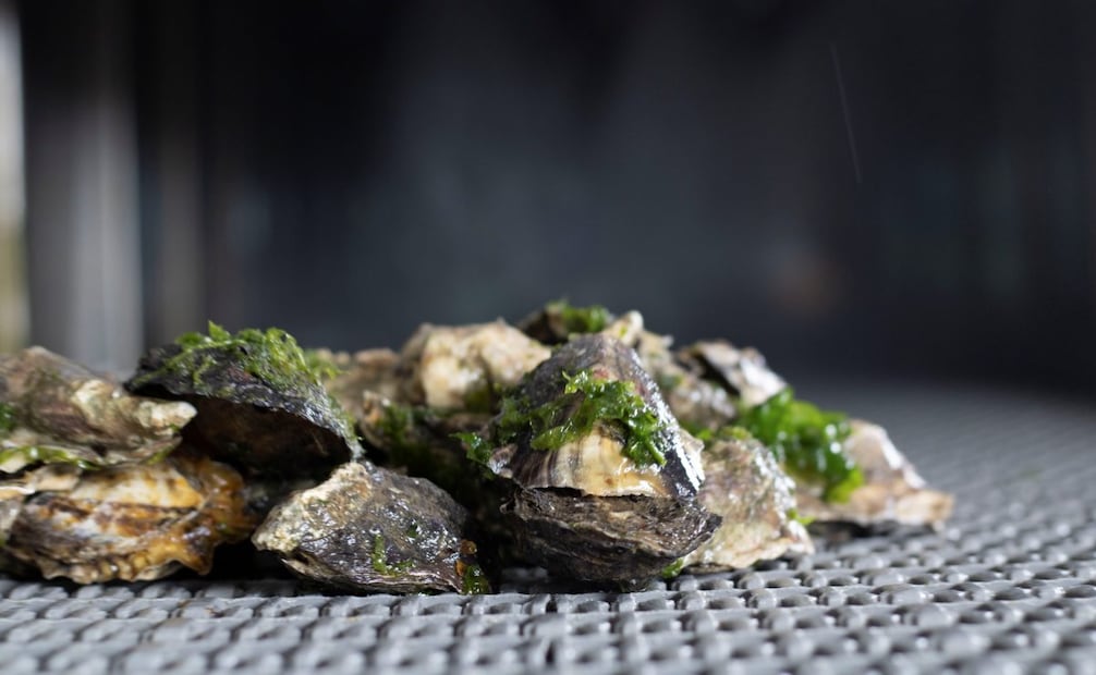 Foto: Comisión Nacional de Acuacultura y Pesca (Conapesca)