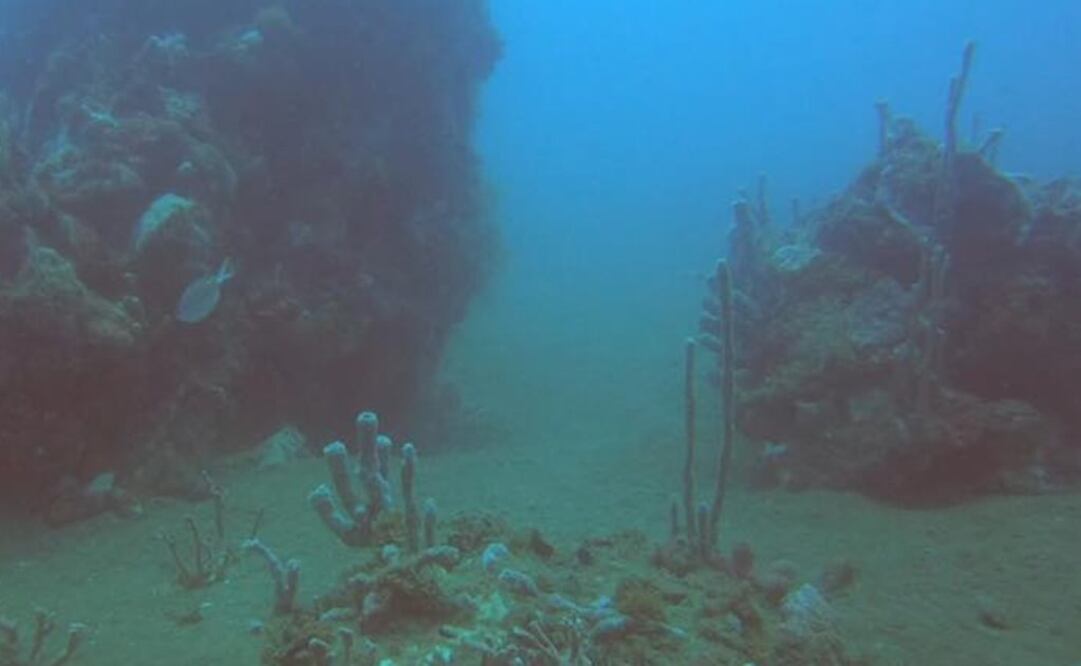 Foto: Facebook / Tecnológico Nacional de México