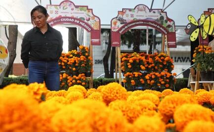 Inauguran el Festival de Flores de Cempasúchil sobre Paseo de la Reforma