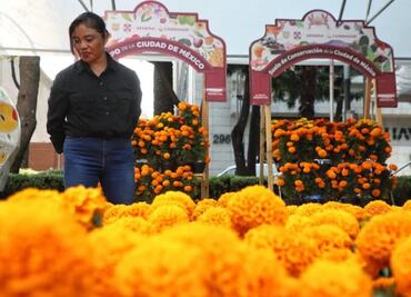 Inauguran el Festival de Flores de Cempasúchil sobre Paseo de la Reforma
