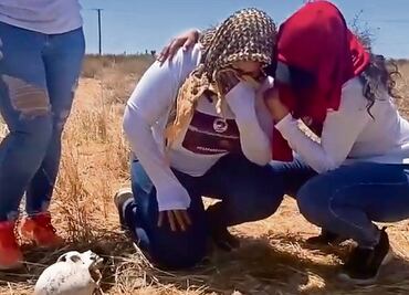 Proliferan los colectivos de buscadoras: hay 234 en el país