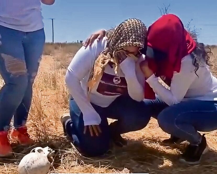 Las madres buscadoras están solas a la buena de Dios, señala Delia Quiroa, titular del colectivo 10 de Marzo. Foto: Especial