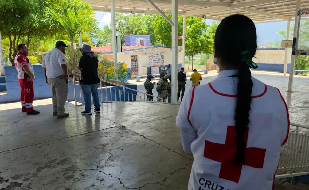 Regreso a clases se complica por enjambre de abejas en primaria de Culiacán; nueve alumnos fueron atacados.
Foto: Especial.