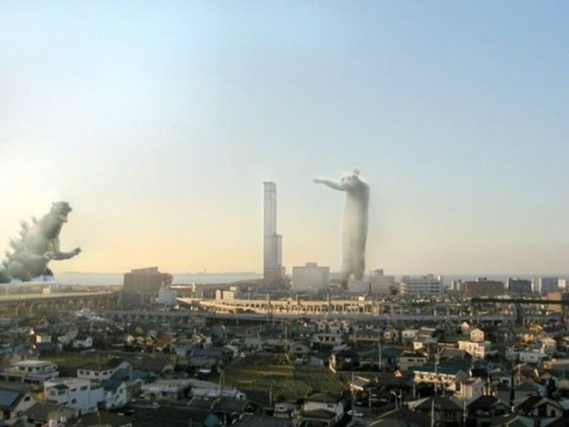 Adiós gatito. Murió Nobiko el “gato largo” que se hizo famoso en internet 