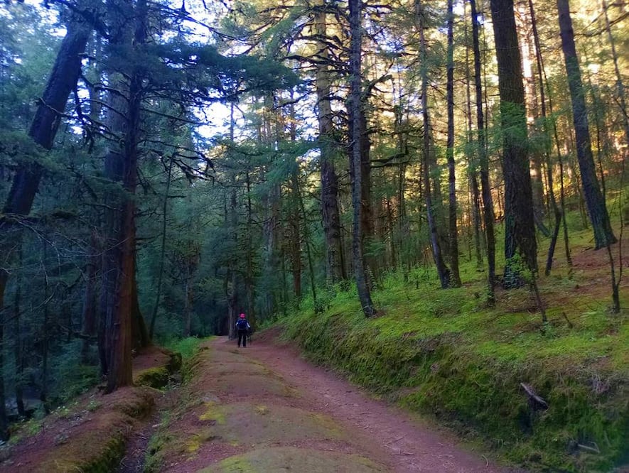 Foto: Live the Mountain