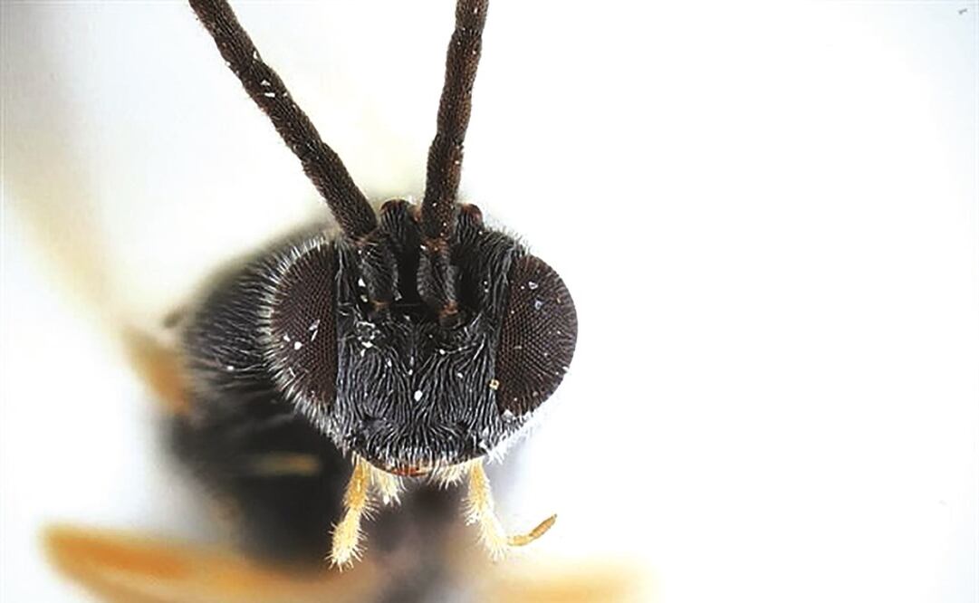 Imagen ilustrativa. Foto: Europa Press