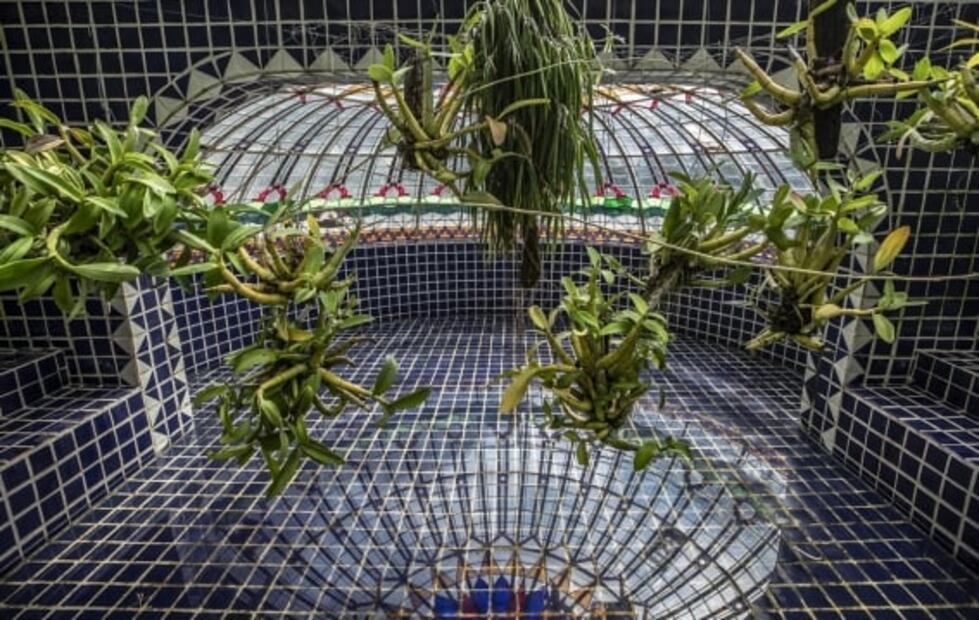 El Pabellón contemporáneo se ubicará en el orquidario del Jardín Botánico