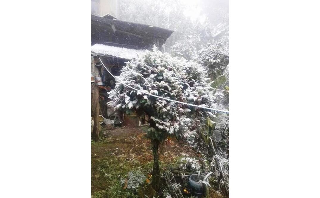 Pronostican descenso de temperatura de hasta -10 grados en Hidalgo