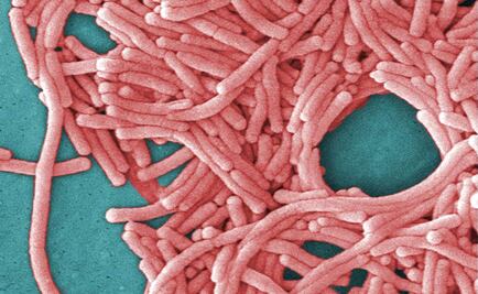 Suman 7 muertes por legionelosis en Illinois