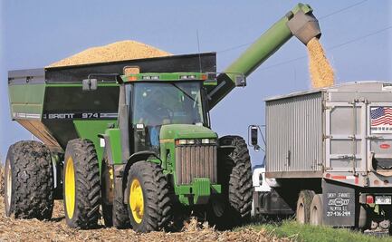 Maíz transgénico no es dañino para el consumo humano: agricultores de EU