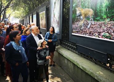 "Visiones de nuestra naturaleza" deleita desde Chapultepec