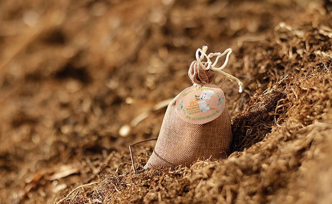 En el último año, Grupo Bimbo ha implementado medidas significativas para reducir el uso de plásticos en sus empaques. Foto: cortesía