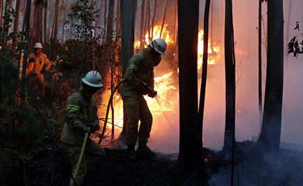 Elevan a 57 los fallecidos en el incendio en Portugal