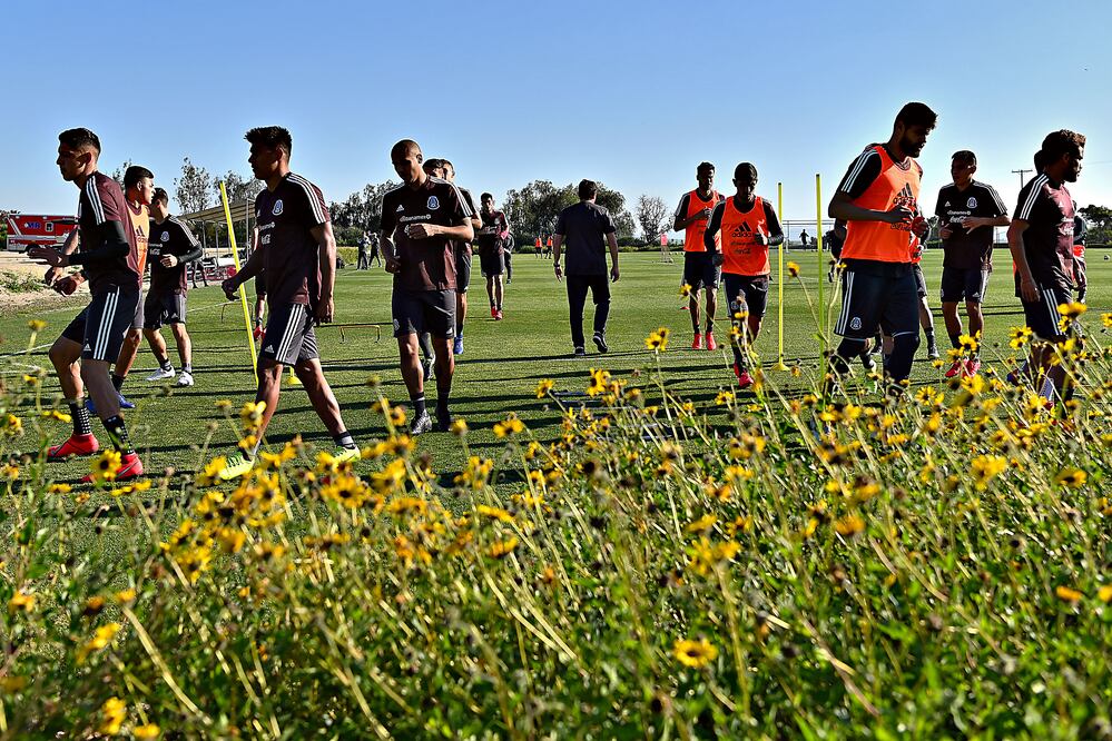 Ya no más Selección Fifí