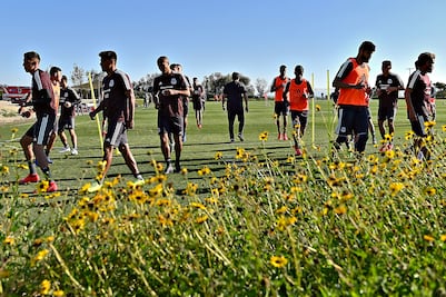 Ya no más Selección Fifí