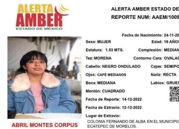 Célula de Búsqueda se integra a la localización de Abril Montes, desaparecida en Ecatepec