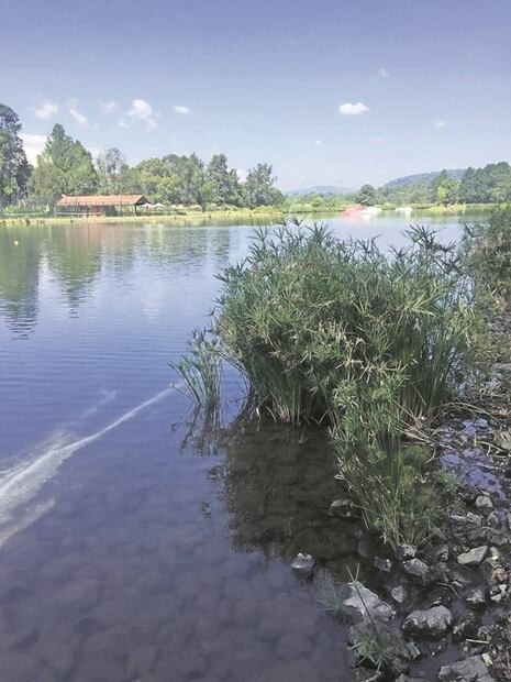 Denuncian que lagos privados se apropian del agua en Valle de Bravo