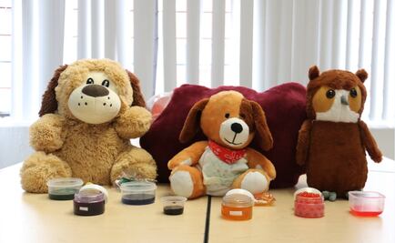 Politécnicos crean aromaterapia para niños con trastorno mental