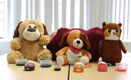 Politécnicos crean aromaterapia para niños con trastorno mental