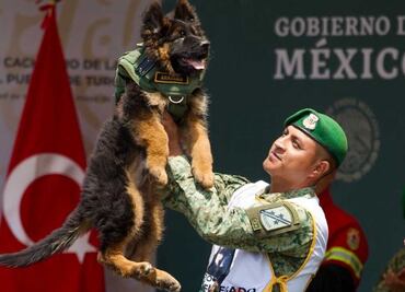 Arkadas cumple su primer año y la Sedena te invita a celebrarlo con él