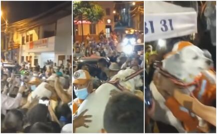 Él es 'Beethoven', el perrito que fue recibido con fiesta por un pueblo entero tras haber sido raptado
