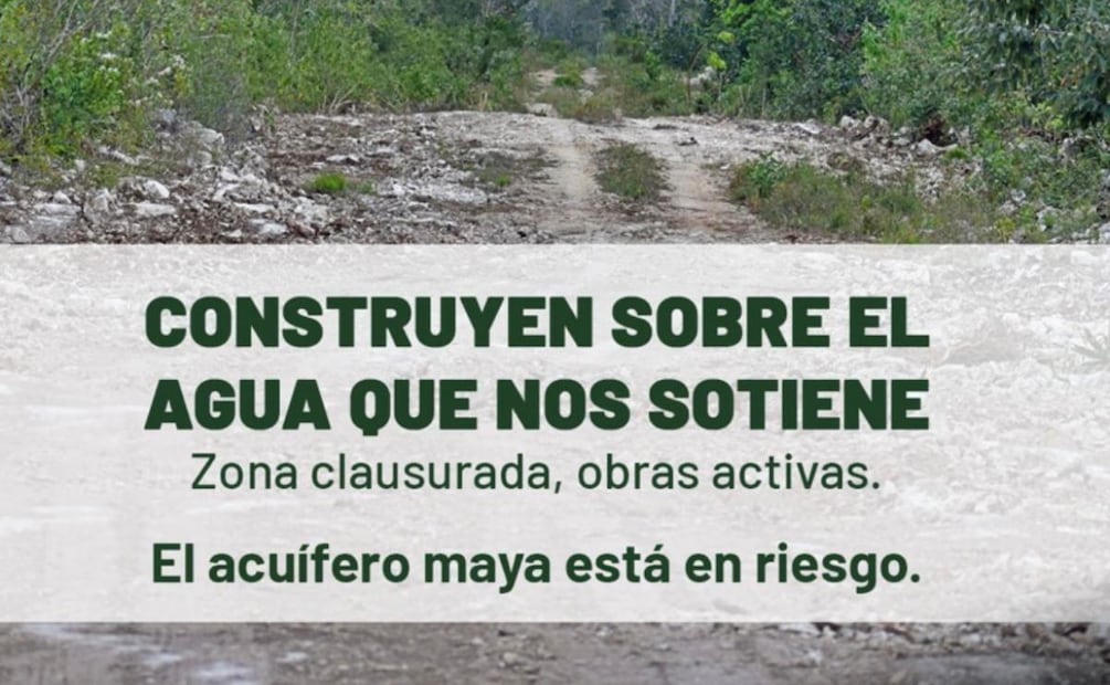Sélvame MX denuncia construcción de carretera en zona ya clausurada de Tulum (03/04/2026). Foto: Especial