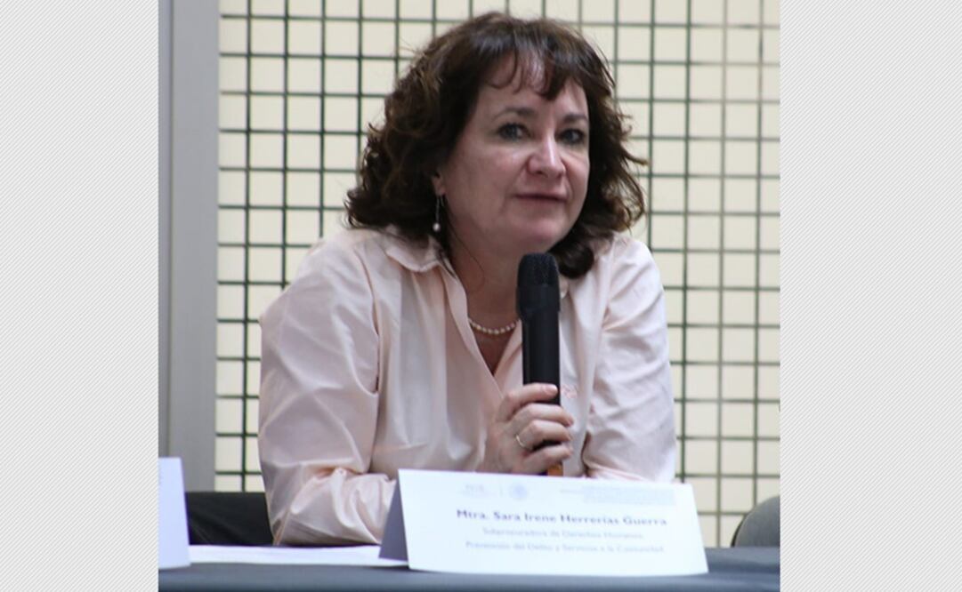 Sara Irene Herrerías Guerra, subprocuradora de Derechos Huamanos de la PGR. Foto: Especial