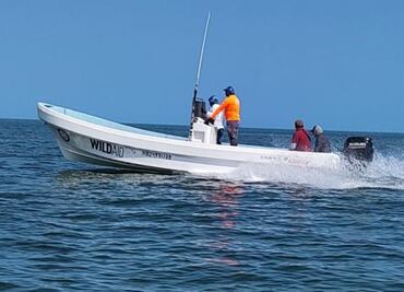 Yucatán: aseguran lanchas involucradas en pesca ilegal