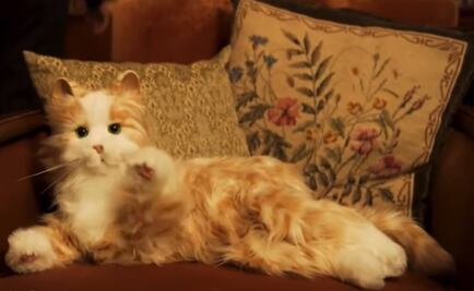 ¿Quieres una mascota? Este gato robot es para ti