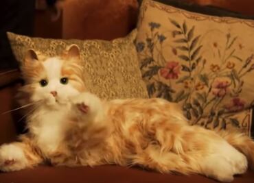 ¿Quieres una mascota? Este gato robot es para ti