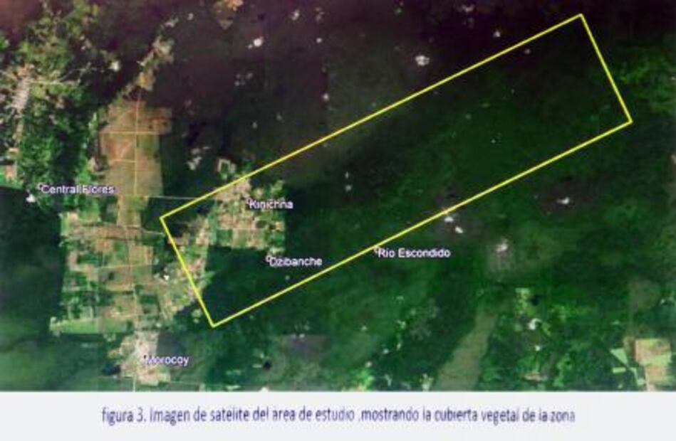 Identifican "red de carreteras" en antiguo complejo maya