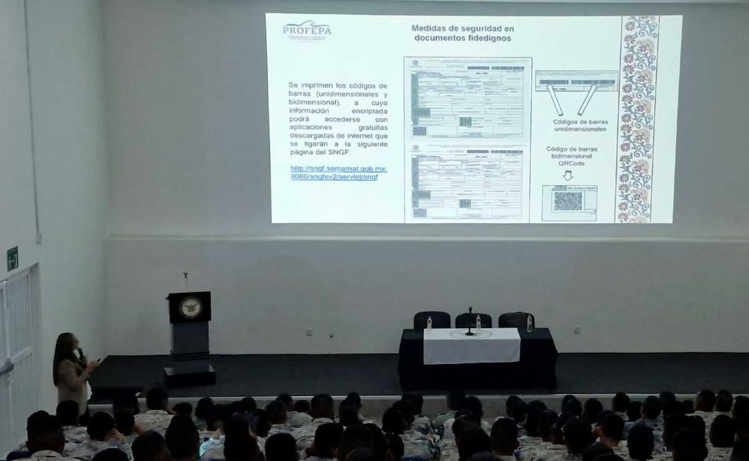 Profepa lo capacita a Ejercito mexicano en materia de protección de vida silvestre. Foto: Especial