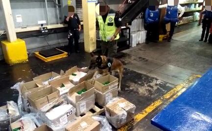 Aseguran 256 kilos de cocaína en aeropuerto de la Ciudad de México