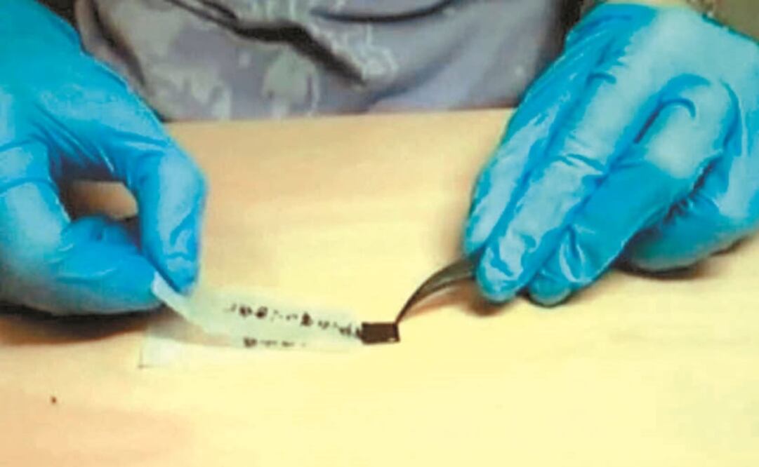 (FOTO: Archivo/EL UNIVERSAL)