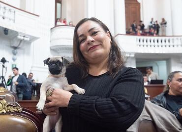 Diputada de Morena busca que negocios de CDMX sean pet friendly; “comercios que niegan entrada a mascotas generan discriminación"