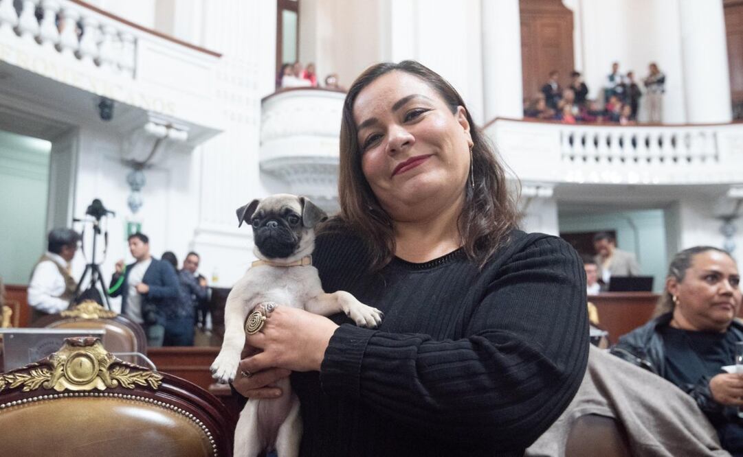 La diputada local de Morena propuso una iniciativa para que los establecimientos mercantiles sean pet friendly (21/11/2024). Foto: Especial