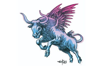 Los toros bravos, los pelícanos rosas