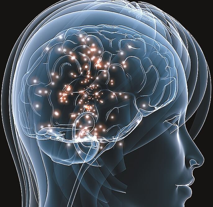 La familia de genes recibe el nombre de NOTCH2NL y parece desempeñar un papel importante en el desarrollo de la corteza cerebral. Foto: Archivo