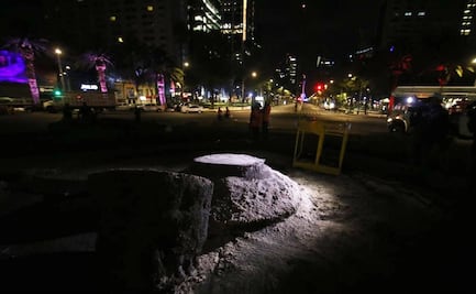 ¡Ya no está más! Removieron la palma que por más de 100 años se mantuvo en pie en Paseo de la Reforma