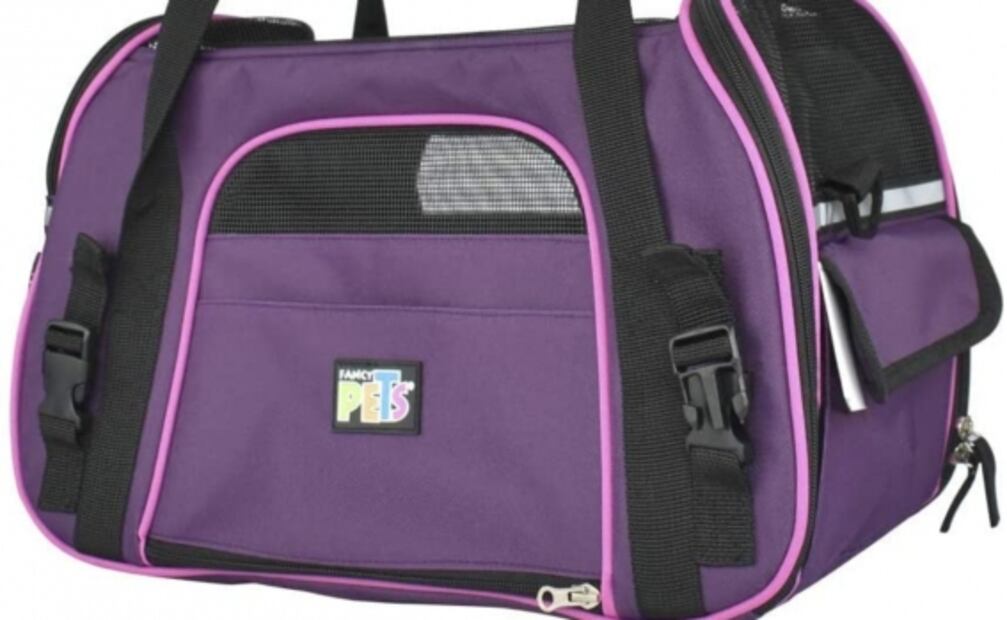 Hoteles pet friendly en México para viajar con tu mascota