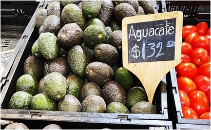 Aguacate llega a 150 pesos el kilo; limón a la baja. ¿En dónde se vende más barato?