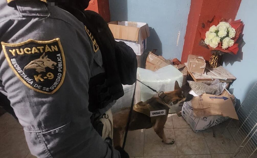 Operativo Antidrogas en Kanasín, Yucatán. Foto Especial