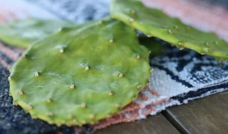 Cómo quitarle la baba a los nopales 