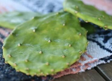 Cómo quitarle la baba a los nopales